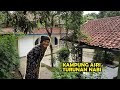 Bikin Iri Orang Kota! Kampung Asri yang Nyaman di Indonesia Hanya Ada 6 Rumah Saja