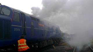 Cold starting class 37 219