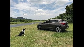 INFINITI QX30運動小休旅龐德老師出遊試駕