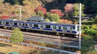 常磐線「普通列車」E531系 紅葉の偕楽園脇を走行(1)