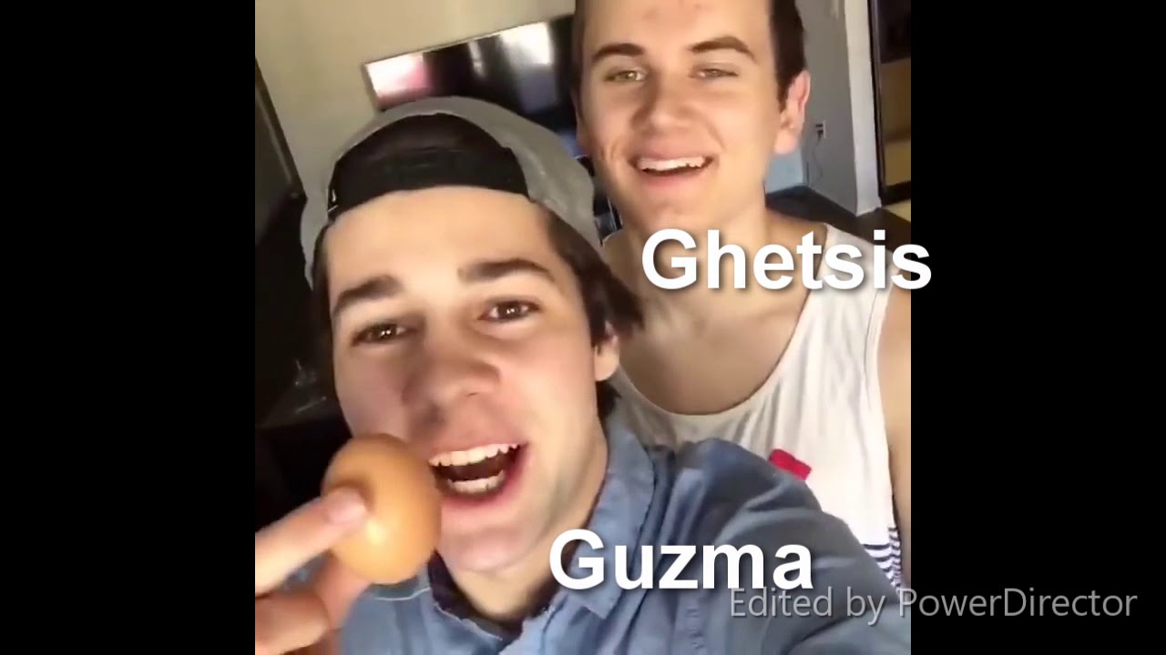 Pokemon villians as vines 2 cause apparently you guys love my sense of humor