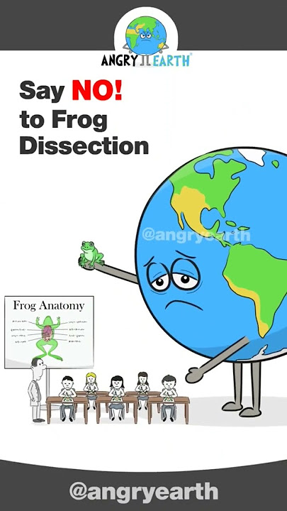 Say NO! to Frog Dissection #shorts