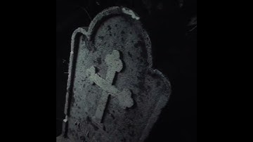 Ian - "Noi Nu Flexam" PROMO (Snippet)🩸