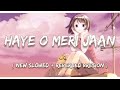 Haye O Meri Jaan [ Slowed + Reverbed ] | Chill Lofi Music | Music Dealer