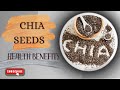 Chia Seeds | Health Benefits of Chia Seeds | Chia Seeds Health Benefits