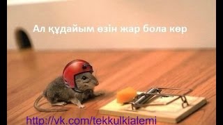 futboldudet