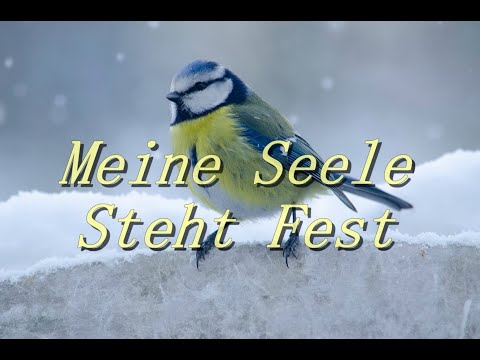 meine-seele-steht-fest-(the-stand)---karaoke-flöte-instrumental-hillsong,-joel-houston