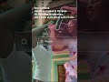 SAM3 Multi-Object Detection in Video: Penguins, Cars & People – Text Prompt Magic #objectremoval