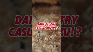 A Unique Chees Called Casu Mrzue