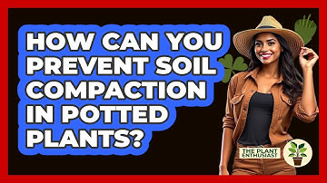 How Can You Prevent Soil Compaction In Potted Plants? - The Plant Enthusiast