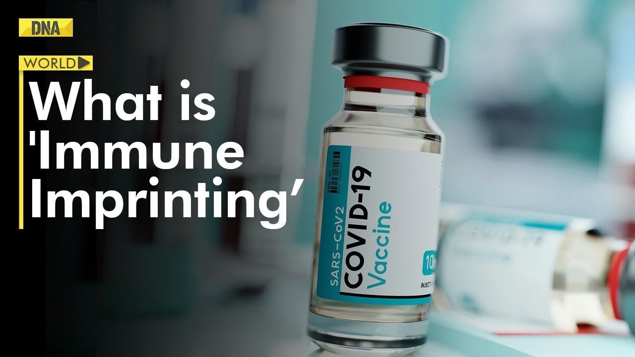 Study finds ‘immune imprinting’ might be making bivalent boosters less effective: Know all about it