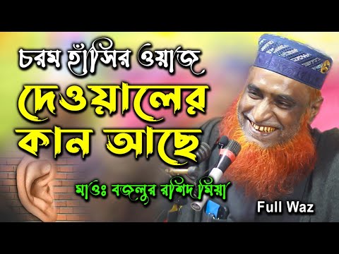 ভিডিও: ট্রিপল কান