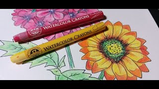 Mungyo Watercolor Crayon Swatch and Review with Sketch