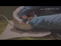 【ASMR】突発性耳垢症候群の対応マニュアル