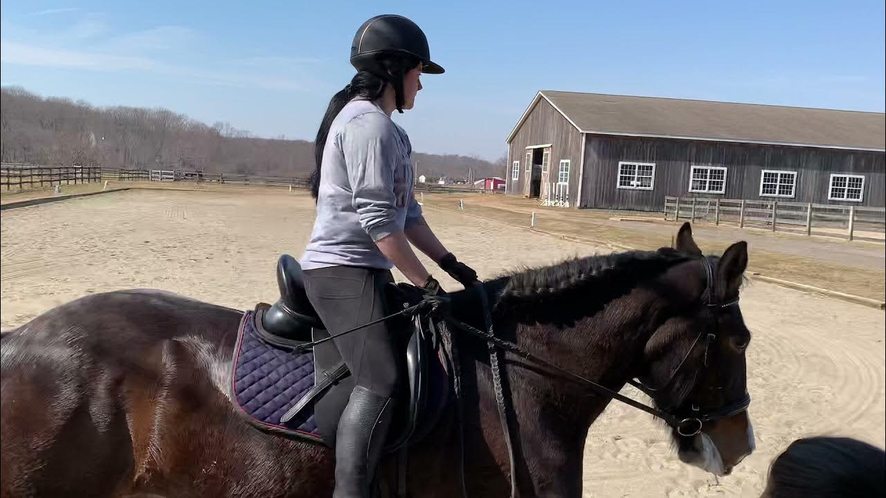 Ashley Zultanky and Raven, USDF Intro Test C YouTube