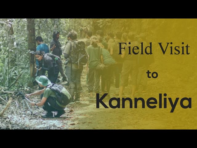 Kanneliya Field Visit 2023