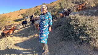 nomadic lifestyle of Iran