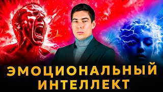видео: Твой мозг управляет эмоциями — или эмоции управляют тобой? картинка: Твой мозг управляет эмоциями — или эмоции управляют тобой?