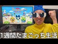 【実写】1週間たまごっちで就職生活をしたら様々な職種に挑戦するも何事も上手くいかない社会不適合者だと再確認した