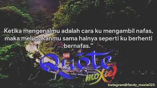 Story wa menyentuh hati | satu hati sampai mati