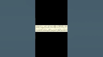 ﴿يَسأَلُهُ مَن فِي السَّماواتِ وَالأَرضِ كُلَّ يَومٍ هُوَ في شَأنٍ﴾ #قرآن #ماهر_المعيقلي#سورة_الرحمن