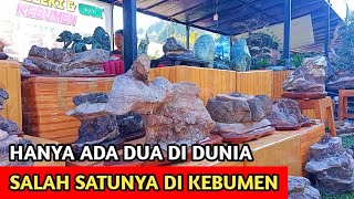 Batu Rijang | Suiseki Langka Dari Kebumen