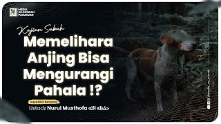 🔴[ LIVE ] 11. MEMELIHARA ANJING BISA MENGURANGI PAHALA !? | Ustadz Nurul Musthofa