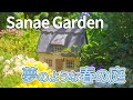 夢のような春の庭！可憐な花々と新緑が美しいモルタルデコのガーデン「Sanae Garden」/A garden with beautiful florets and fresh greenery