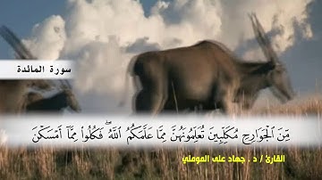 سورة المائدة من ( ايه 1 ) الى (ايه 11 ) بصوت القارئ د.جهاد المومني