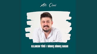 Aslansın Yürü Birhoş Birhoş Bakar