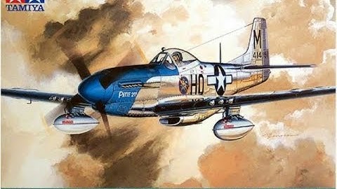 Tamiya 1/48 North American P-51D Mustang..Plastic Kit Build & Review.