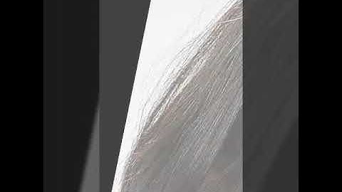 Rambut smudge sketchbook.