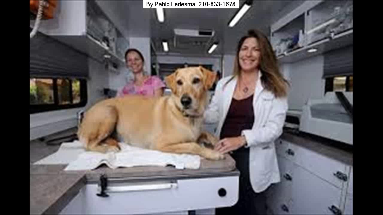 Mobile Pet Vaccinations Near Me San Antonio 210 871 0226 YouTube Mobile Pet Vaccinations Near Me San Antonio 210 871 0226 YouTube