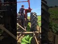 Smart Farming Technology That Saves Time & Labor 🚜🌱#farming #shorts