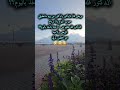 ديرو بالكن تاخدو حبوب من ايد ازواجكن مشان مايرتاحو 