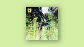 Rex Orange County - Sunflower // with lyrics
