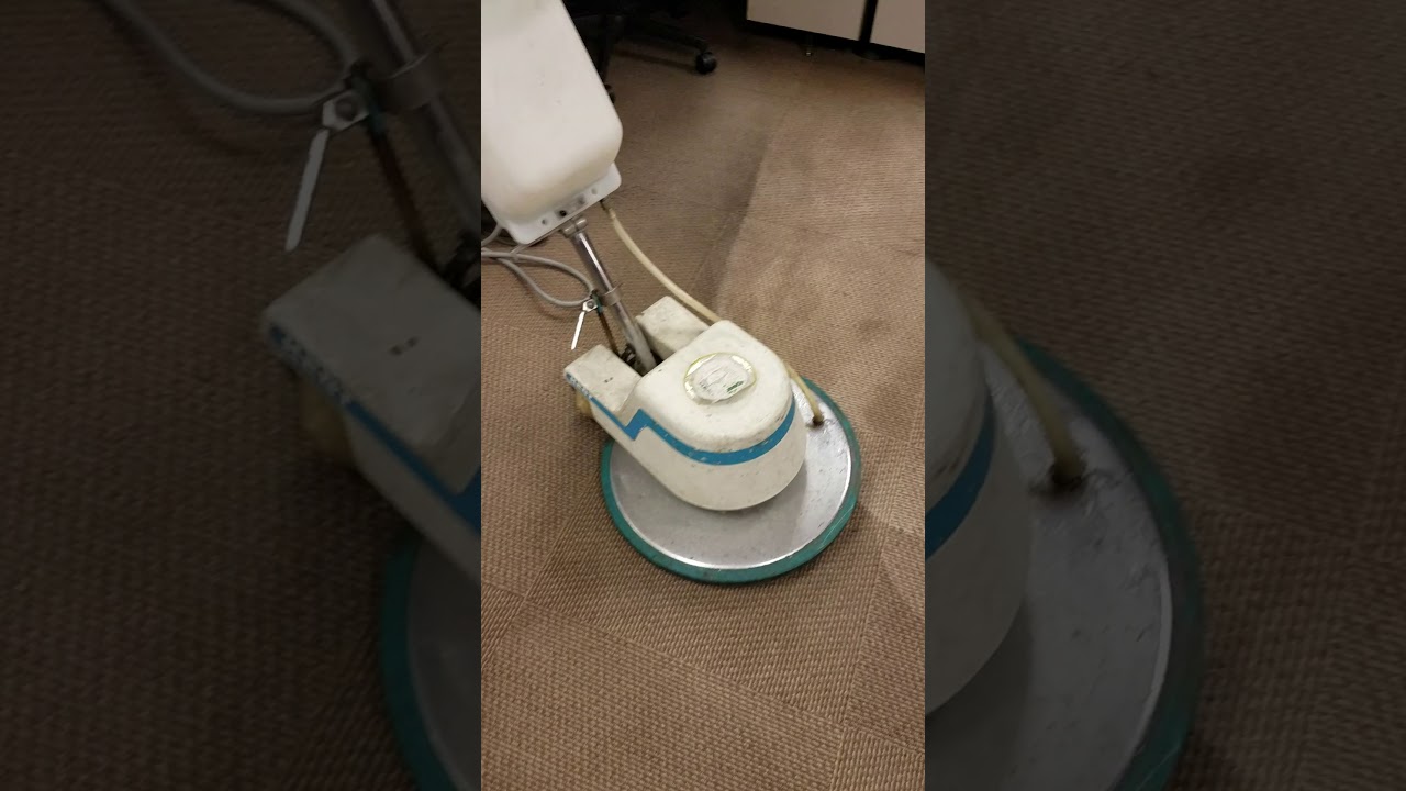 ROC Organic Rug Cleaning by Reese Professional Cleaning Service