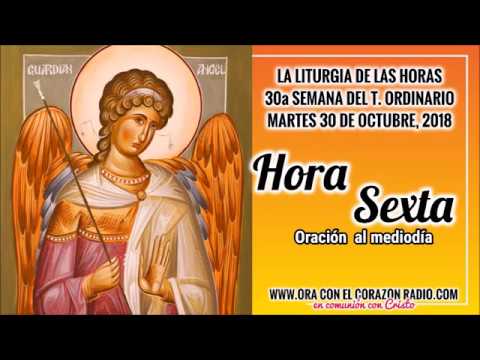 HORA SEXTA- ORACION AL MEDIODIA- MARTES 30 DE OCTUBRE, 2018 XXXª SEMANA DEL TIEMPO ORDINARIO agradecimiento frases