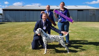 'Future Champ! ✨ 9-Month-Old Jackson Shines at Christmas Show' by Adam Booth 176 views 5 months ago 1 minute, 8 seconds