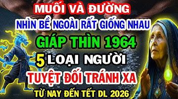 Phơi Bày Sự Thật, Ai Hãm Hại, Ai Giúp Đỡ Người Tuổi Giáp Thìn 1964 Từ Nay Đến Tết Dương Lịch 2026.