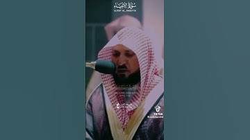 "قَالُوا مَنْ فَعَلَ هَٰذَا بِآلِهَتِنَا إِنَّهُ لَمِنَ الظَّالِمِينَ"/سورة الأنبياء ماهر المعيقلي🤍🕊