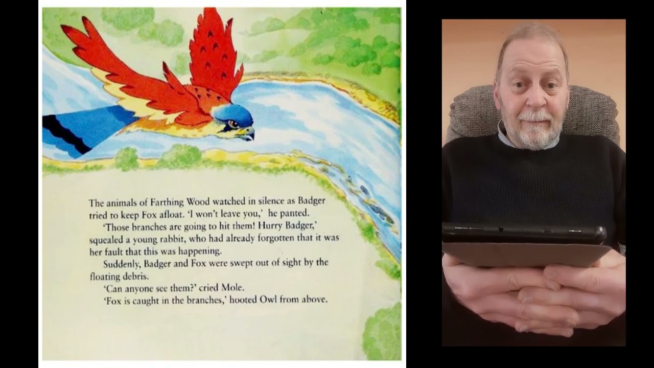 Животные Фартинг-Вуда - Река