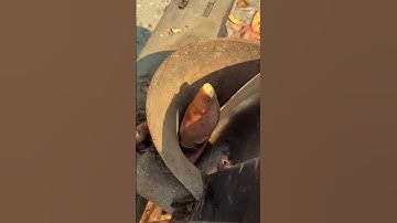 Alat unik untuk memotong ubi dengan cepat #shorts