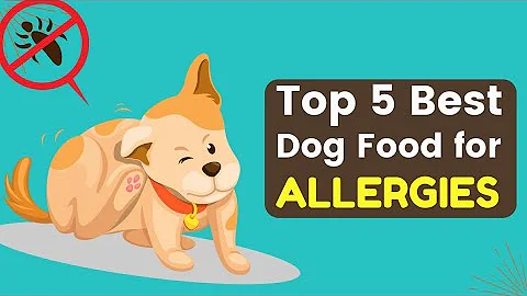Top 5 Best Dog Foods for Allergies (Buyer’s Guide & Review)