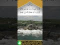 قلنا يا نار كوني بردا وسلاما على ابراهيم سورة الأنبياء الصلاة والدعاء 