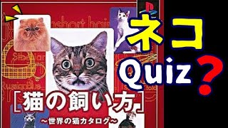 Cat type quiz ? (PlayStation) SIMPLE1500 Vol.16 screenshot 1