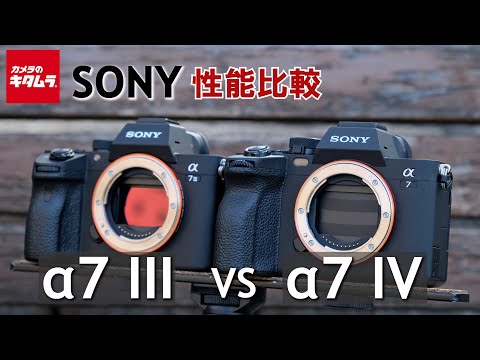 カメラ比較】ソニーα7 IVとα7 IIIの違いを検証してみました