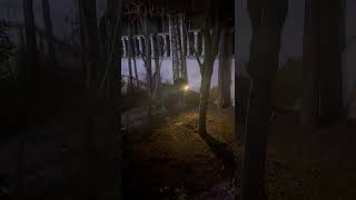 Dedektif Köpek İş Başında: Ağzında Fenerle gece devriyesi 🔦🐶