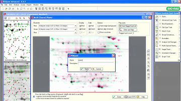 PDQuest™ Software Tutorials - Creating Analysis Sets