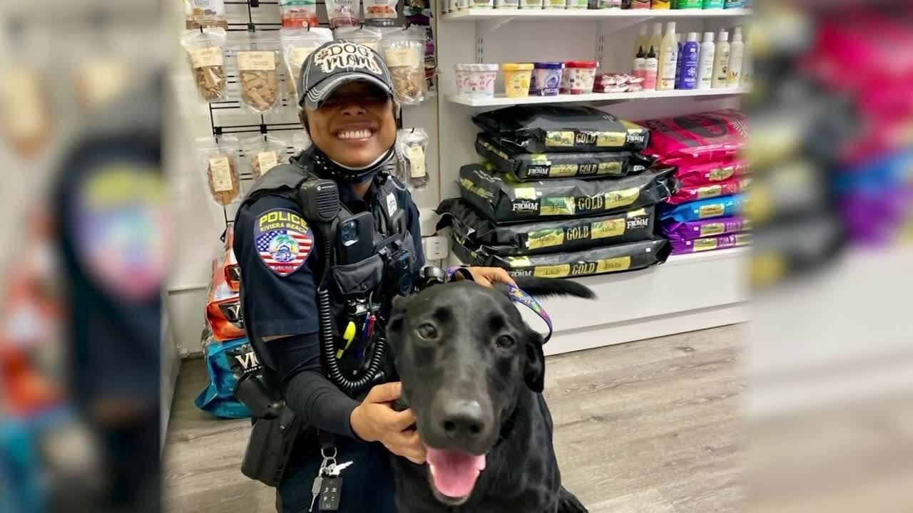 Riviera Beach Police Department K9 officer finds new home YouTube